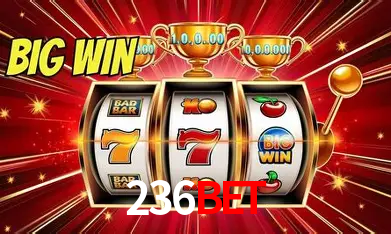 Descubra a Essência do 236bet: Nossa História e Compromissos