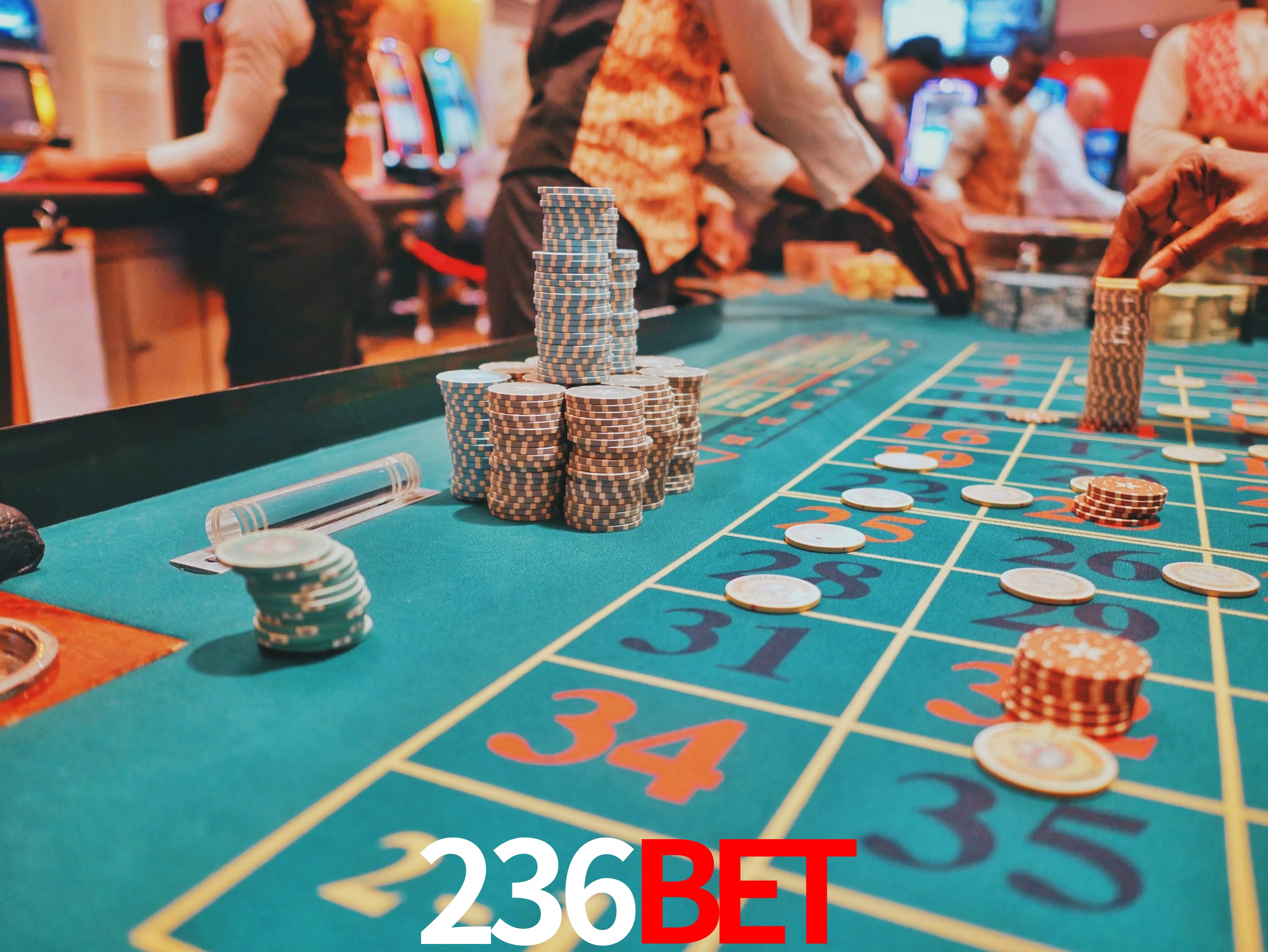 Torneios 236bet